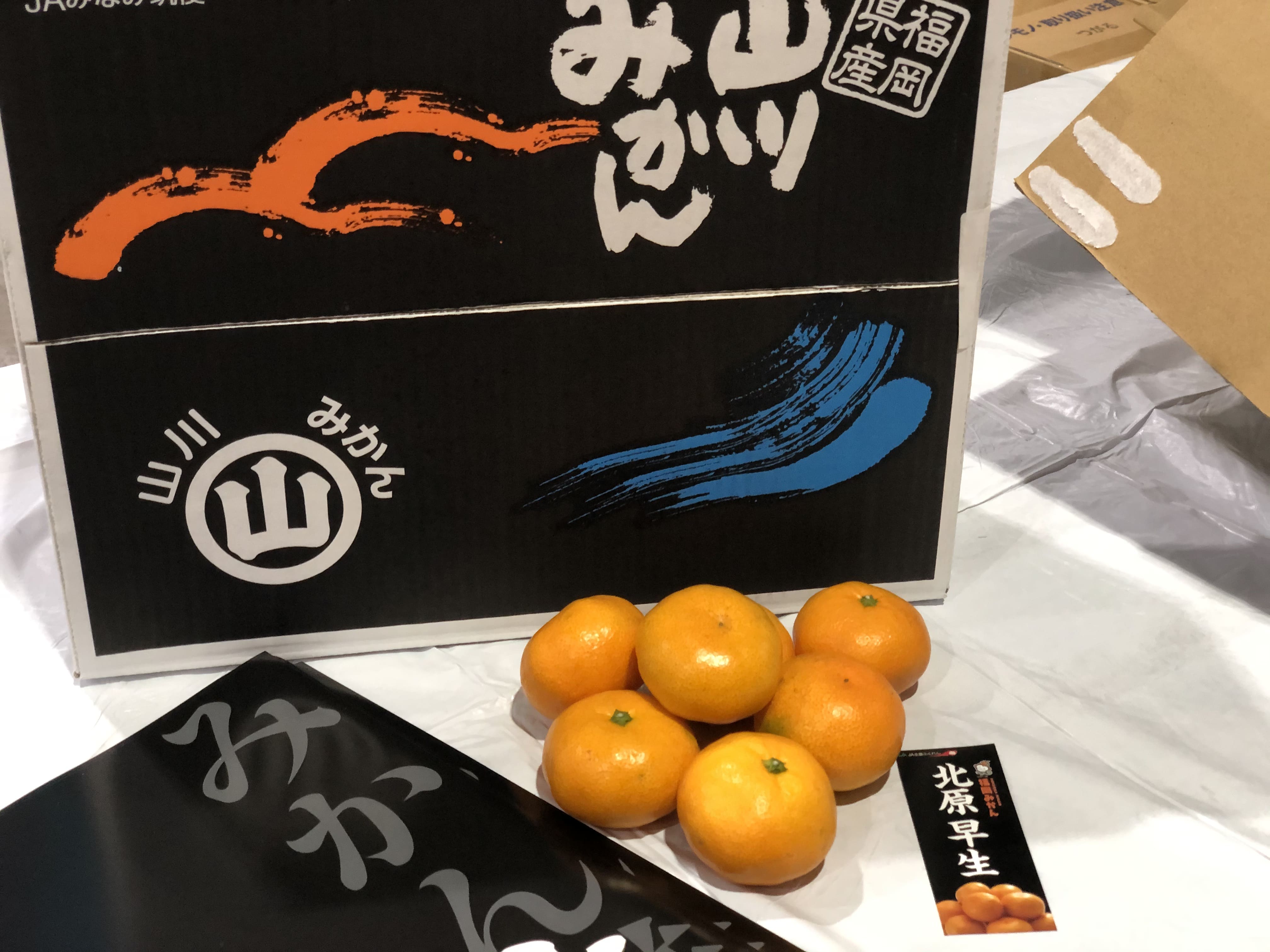 JA全農ふくれん 北原早生（みかん）が初入荷しました！｜お知らせ
