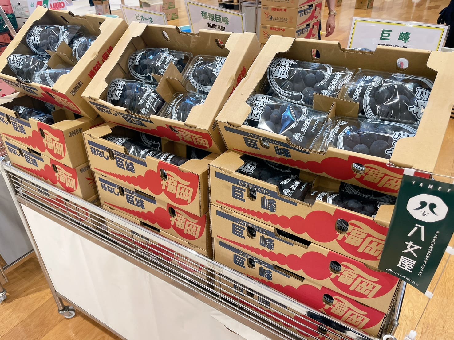 ベジフル感謝祭が開催されました！（2025年6月）｜お知らせ｜福岡大同