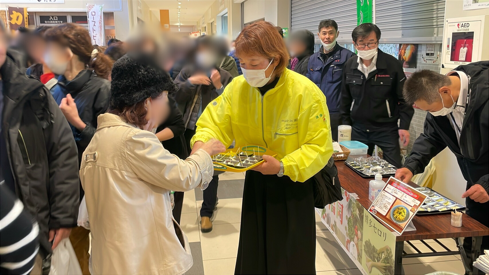 【極上最高級株】感謝祭！発根済み！魔丸大株！2株子株付き！極上株！ ベジフル感謝祭が開催されました！(2025年12月)｜お知らせ｜福岡大同