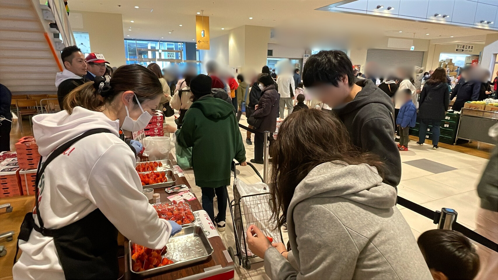 ベジフル感謝祭が開催されました！(2025年12月)｜お知らせ｜福岡大同