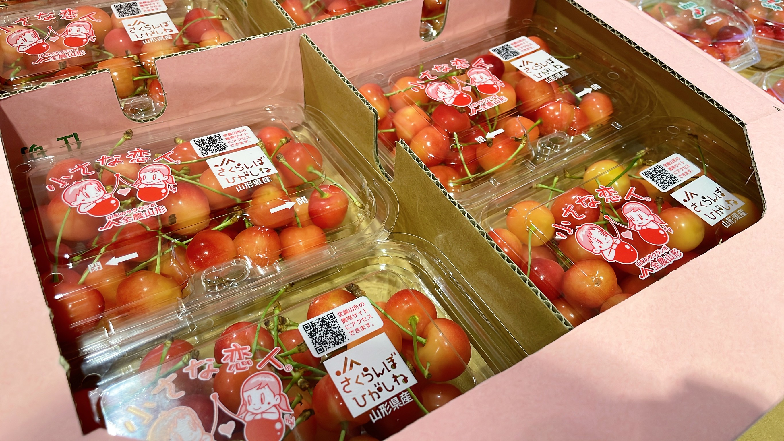 JAさくらんぼひがしね「桜桃」トップセールス｜お知らせ｜福岡大同青果