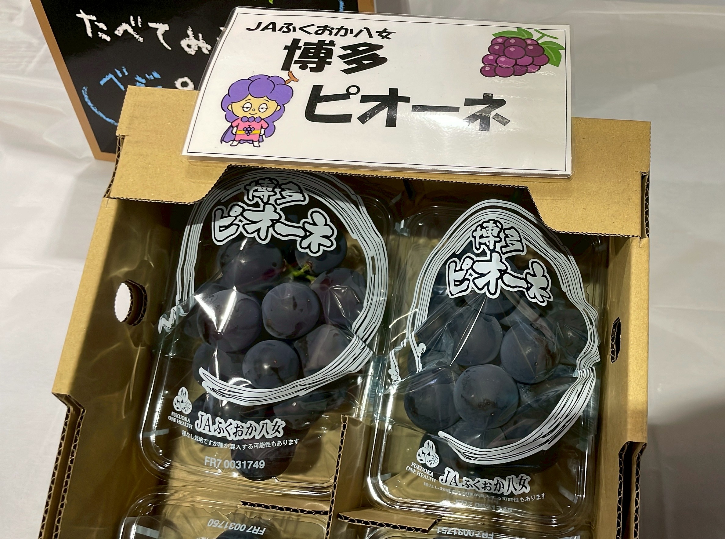 Fukuoka@とっと JAふくおか八女 ぶどう 試食宣伝｜お知らせ｜福岡大同青果株式会社