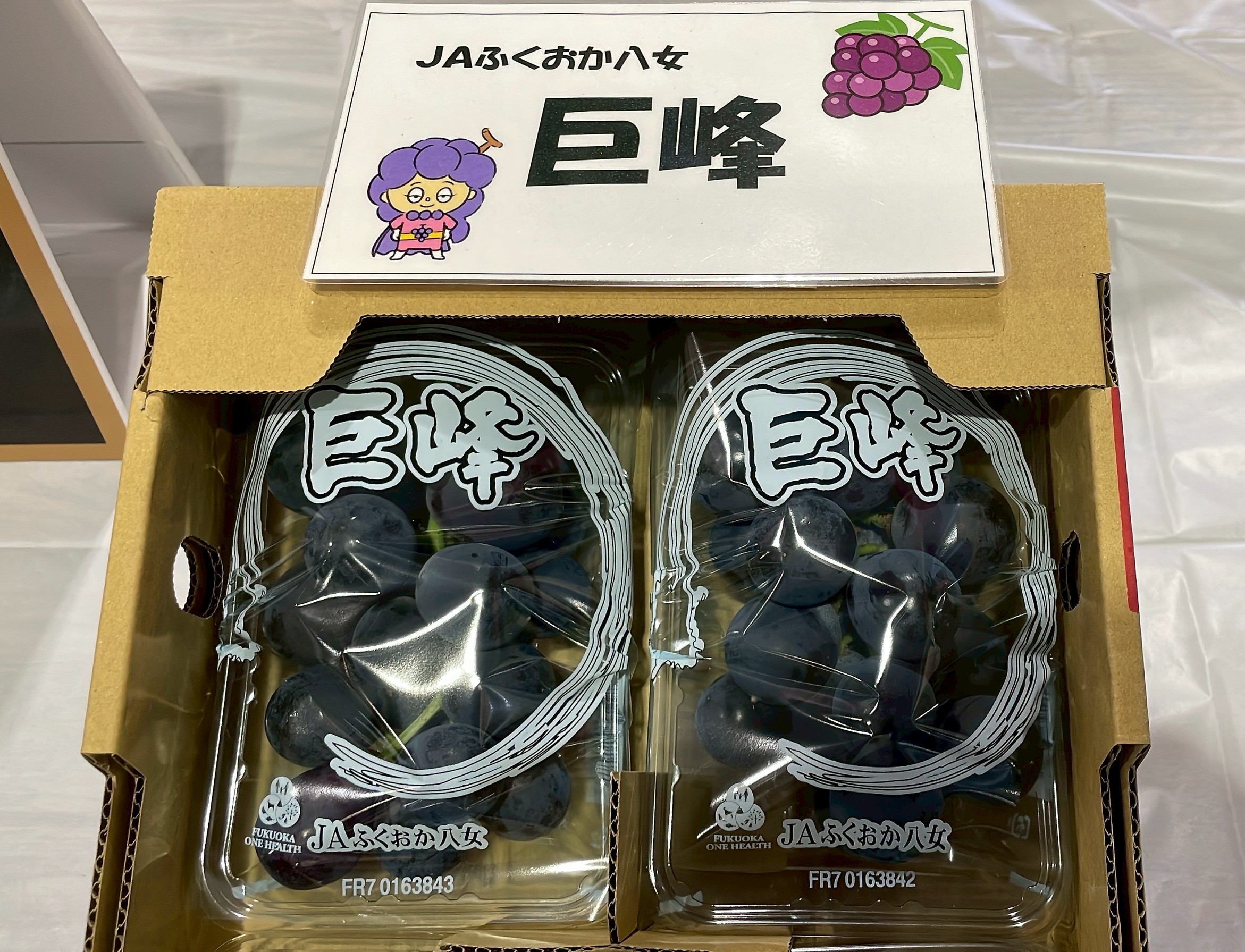 JAふくおか八女 ぶどう 試食宣伝｜お知らせ｜福岡大同青果株式会社