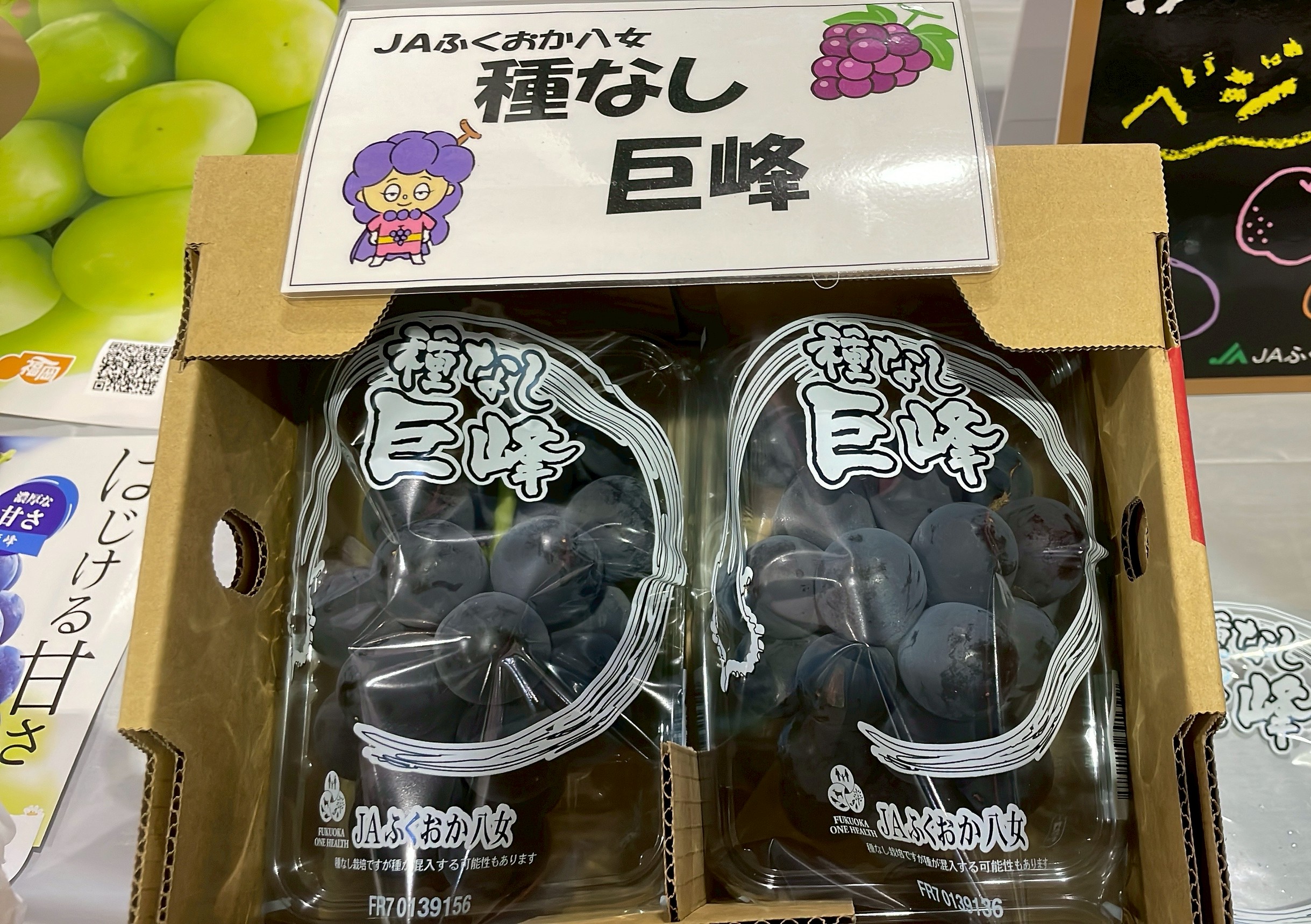 JAふくおか八女 ぶどう 試食宣伝｜お知らせ｜福岡大同青果株式会社