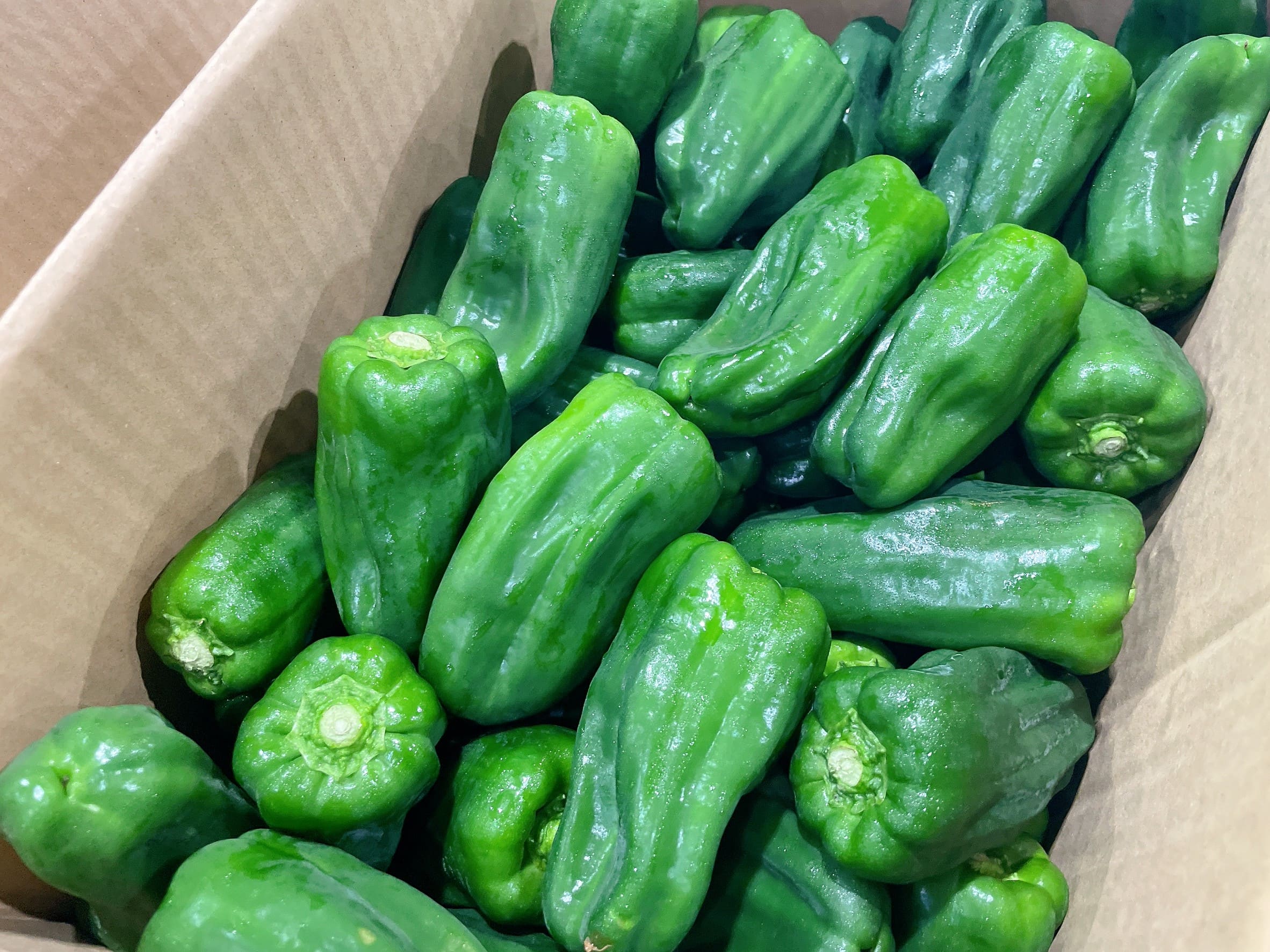 JAおおいた「ピーマン」試食宣伝｜お知らせ｜福岡大同青果株式会社