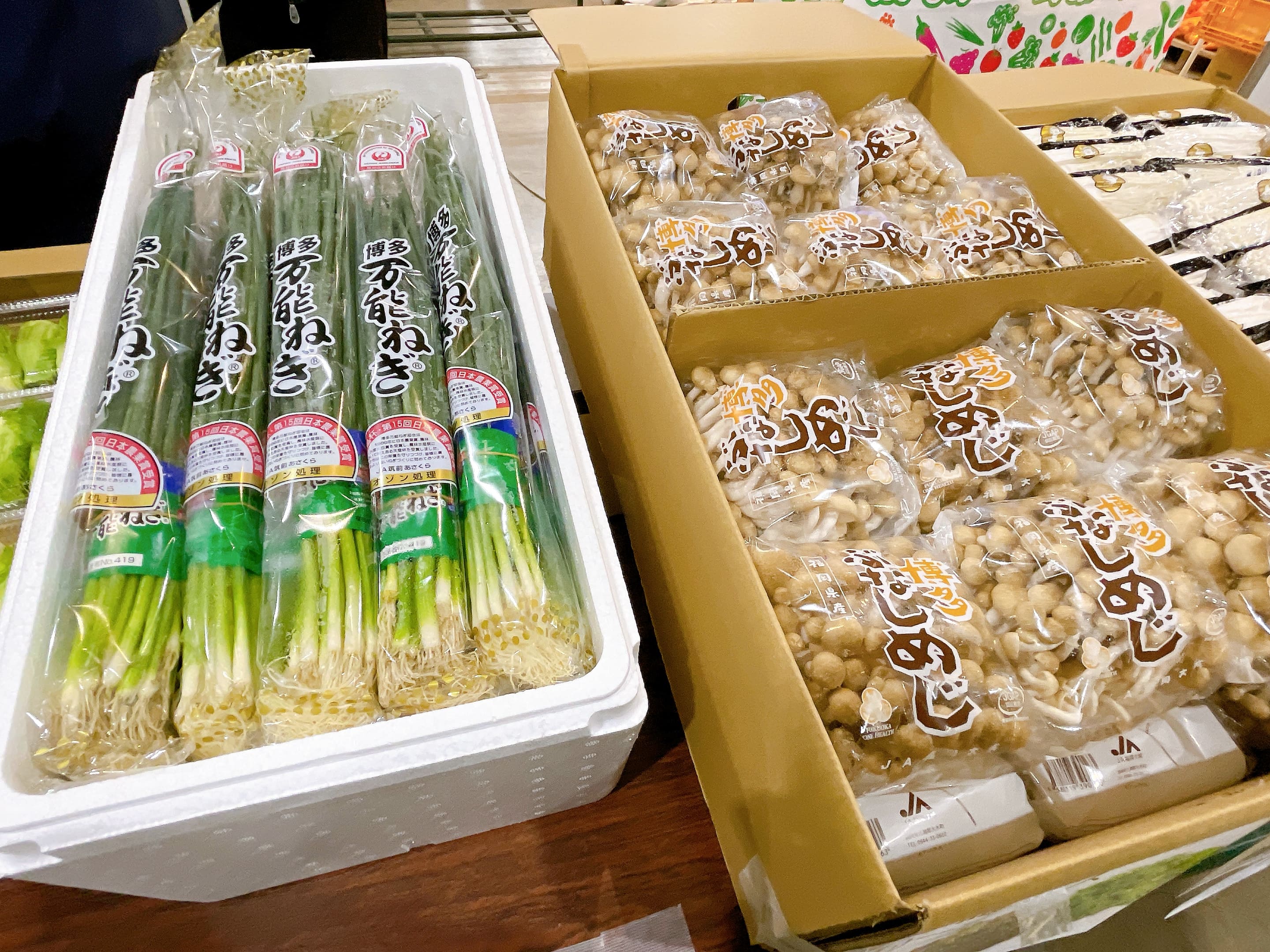 『福岡の野菜 戦後50年のあゆみ』 福岡県園芸農業協同組合連合会 平成9年 2023年6月号 | JA香川県 - 香川県農業協同組合