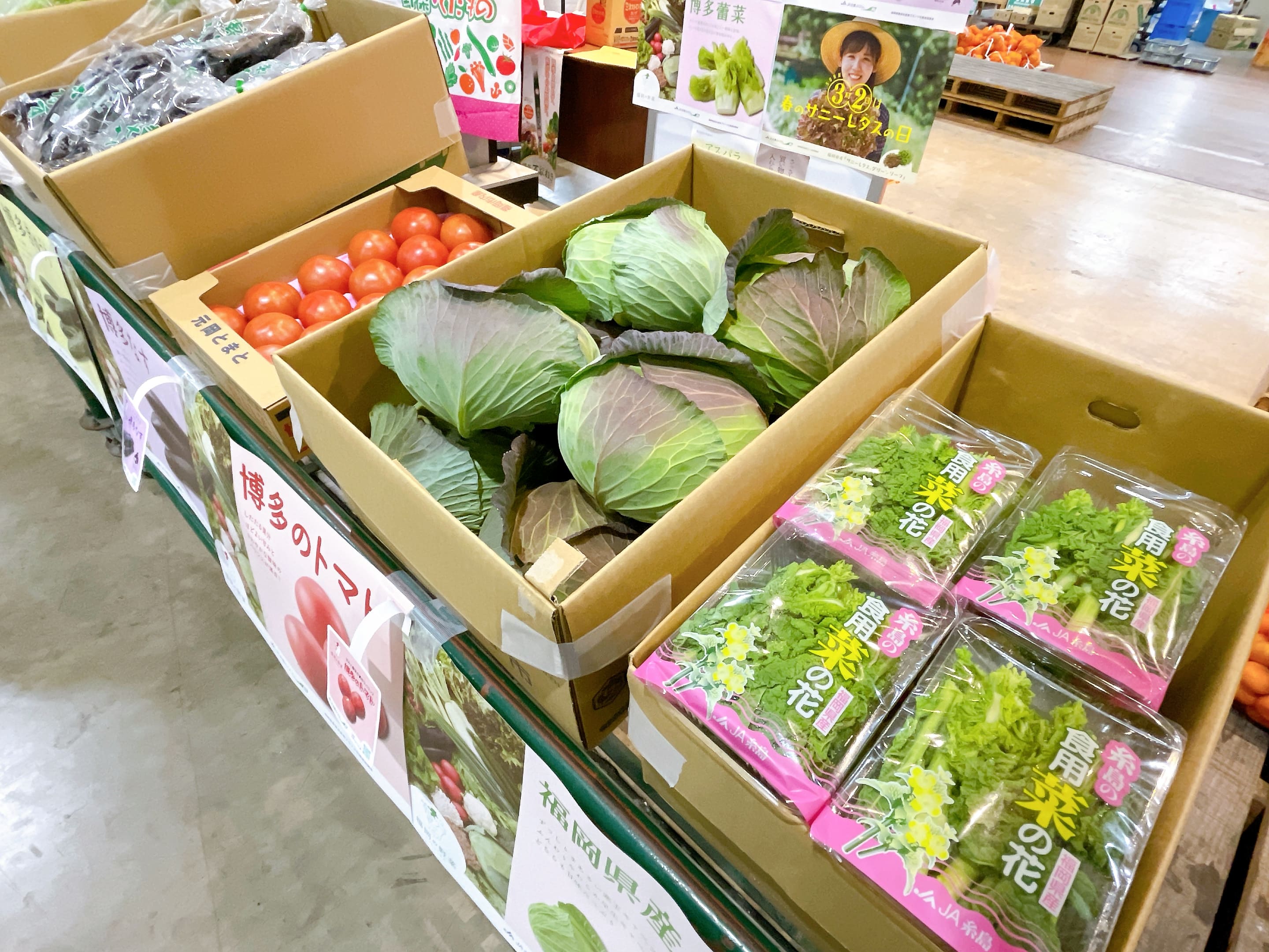 JA全農ふくれん 福岡県産野菜試食宣伝会｜お知らせ｜福岡大同