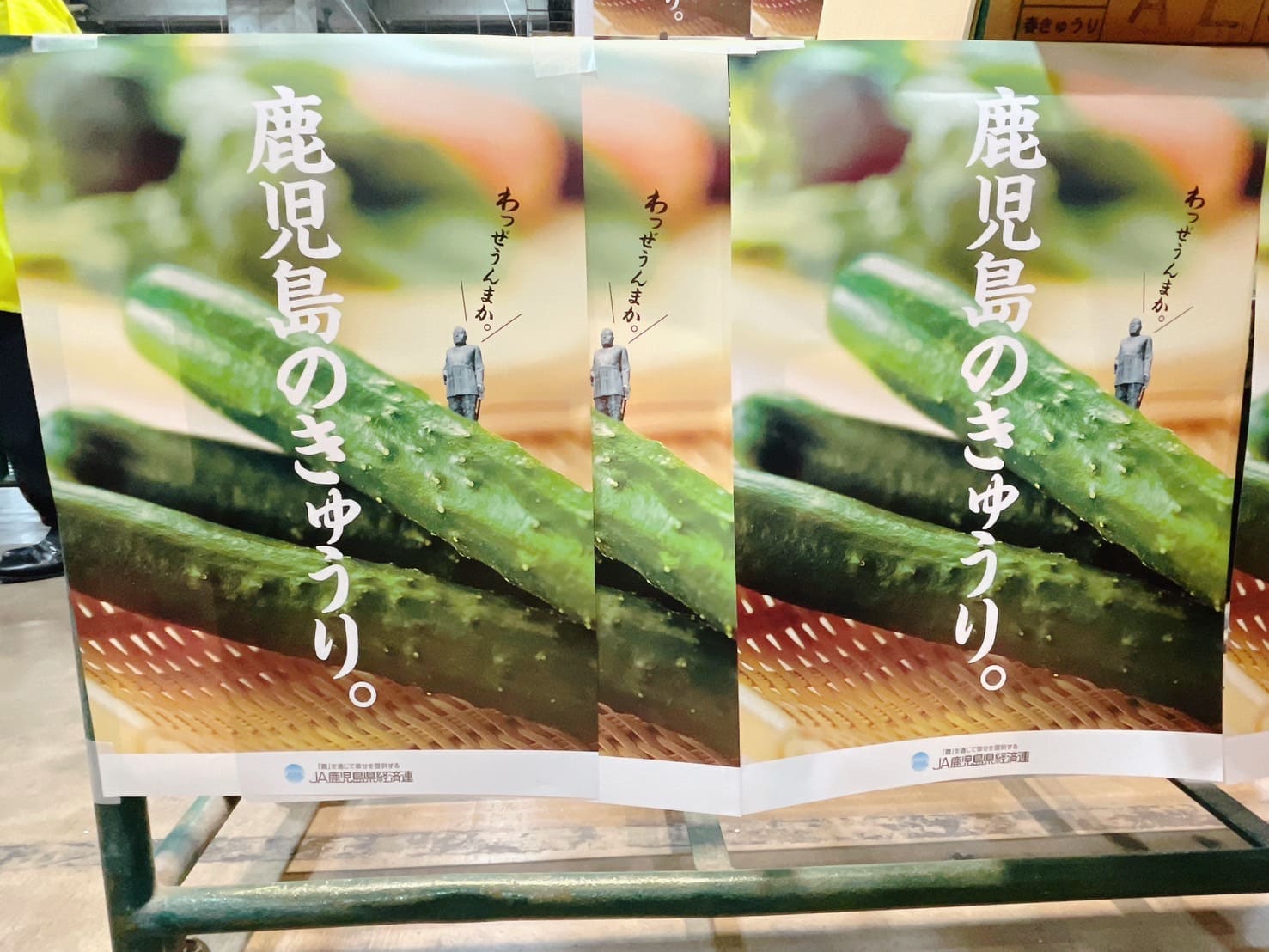 JA鹿児島きもつき 東串良 胡瓜部会の皆様が来場されました｜お知らせ