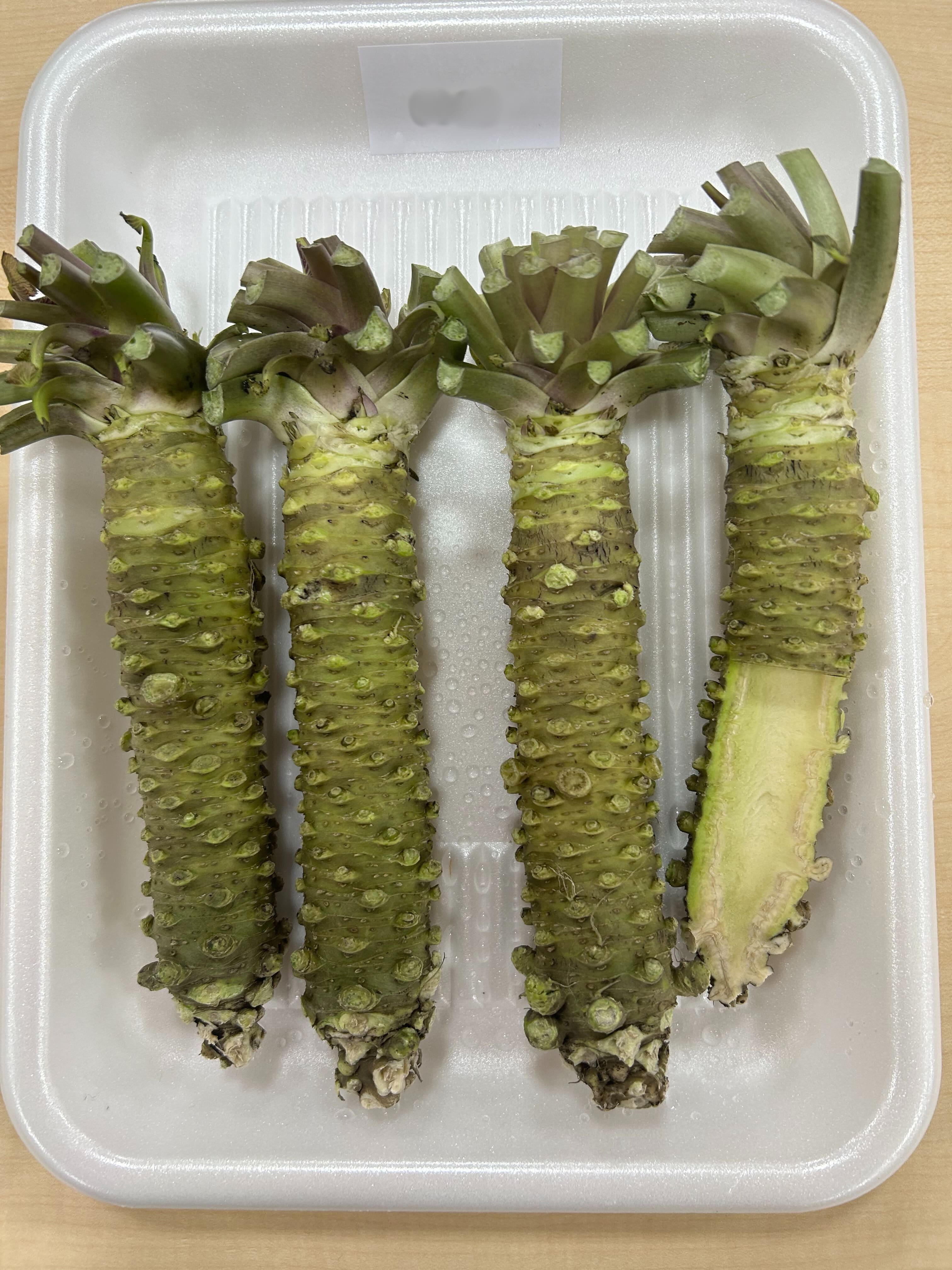 第39回全国わさび品評会及び生産者大会が開催されました｜お知らせ