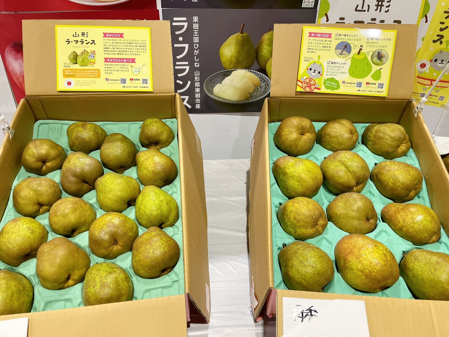 ラ・フランス JAさくらんぼひがしね「ラ・フランス」トップセールス｜お知らせ｜福岡