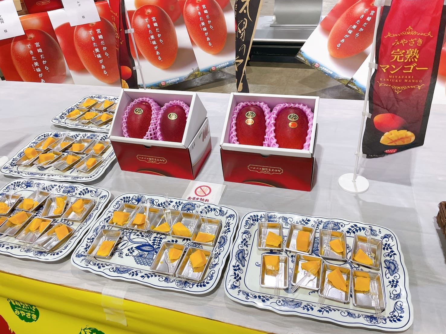 今年も解禁！みやざき完熟マンゴー「太陽のタマゴ」｜お知らせ｜福岡