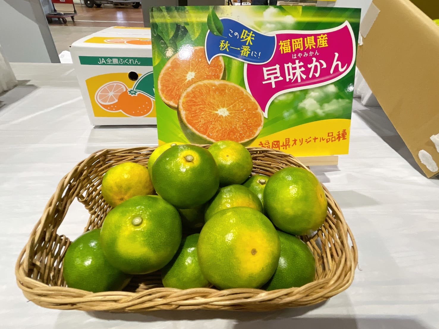 JA全農ふくれん「早味かん」試食宣伝｜お知らせ｜福岡大同青果株式会社